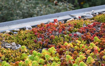 the cost of Bloody Bridge green roof installation
