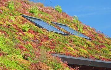 Bloody Bridge living roof systems