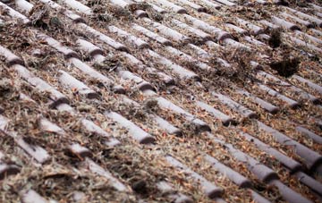 Bloody Bridge roof cleaning companies